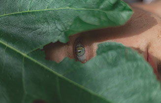 CBD Isolate vs. CBD Oil