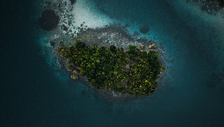 How Long Does It Take For CBD To Work?